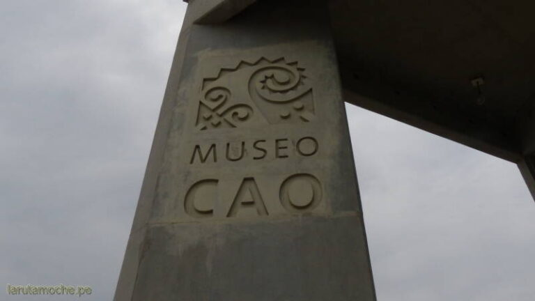 museocao 002